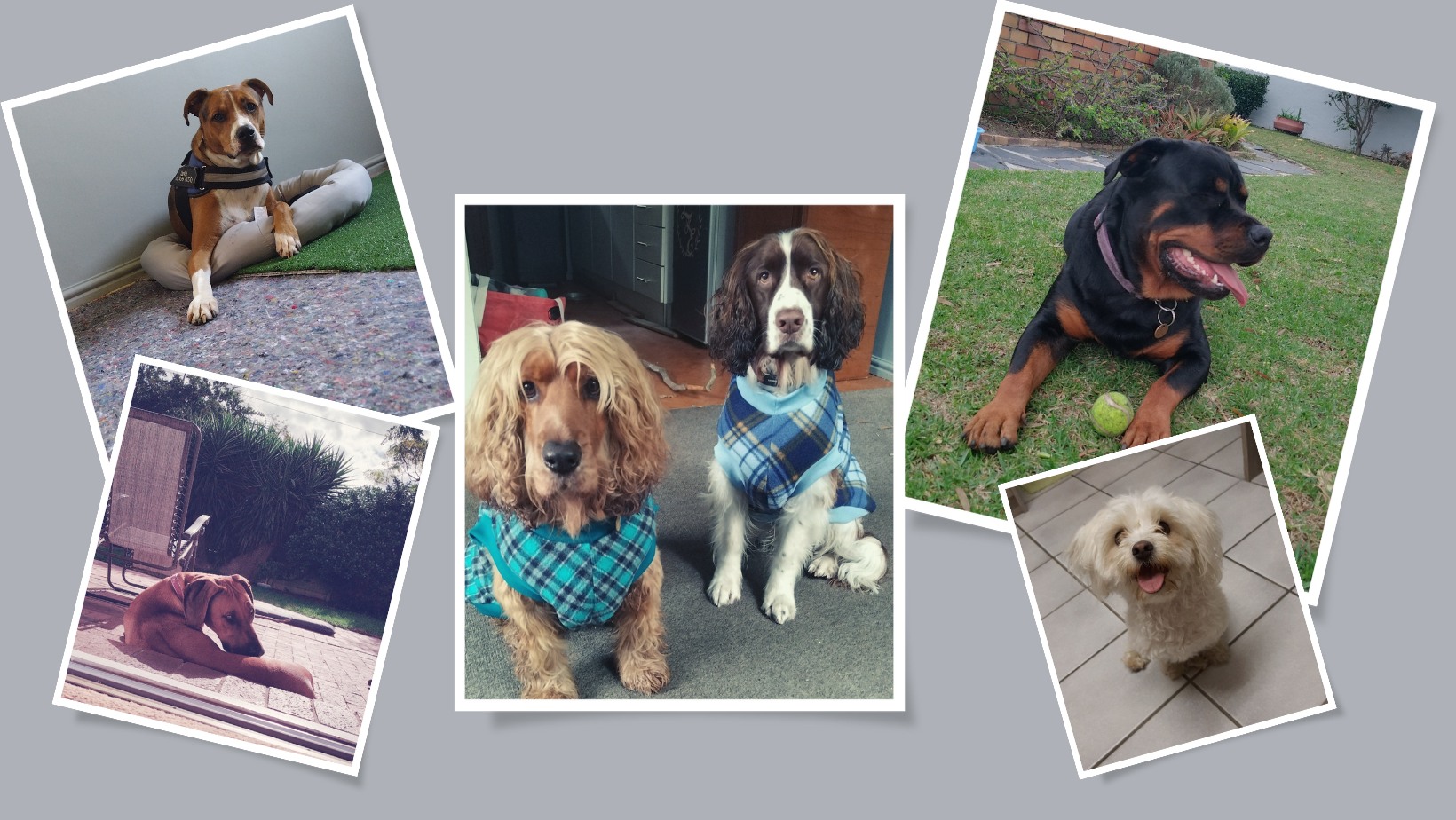 283472223_129909113033474_884311005119814640_n